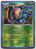 Accelgor (Team Plasma) Rare Reverse Holo Plasma Blast 8/101 MP