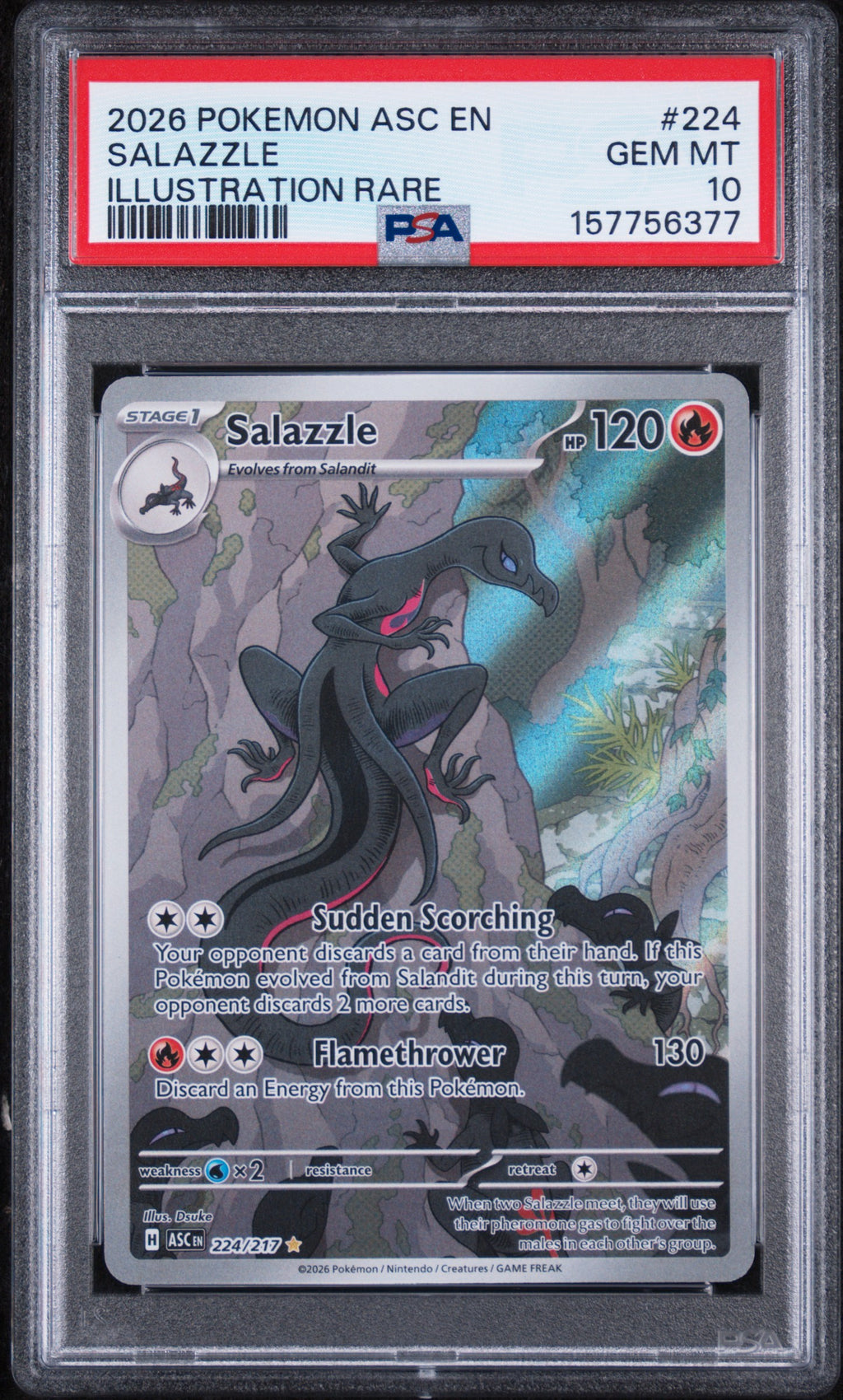 Salazzle Illustration Rare Pokemon Asc En-Ascended Heroes 224/217 PSA 10