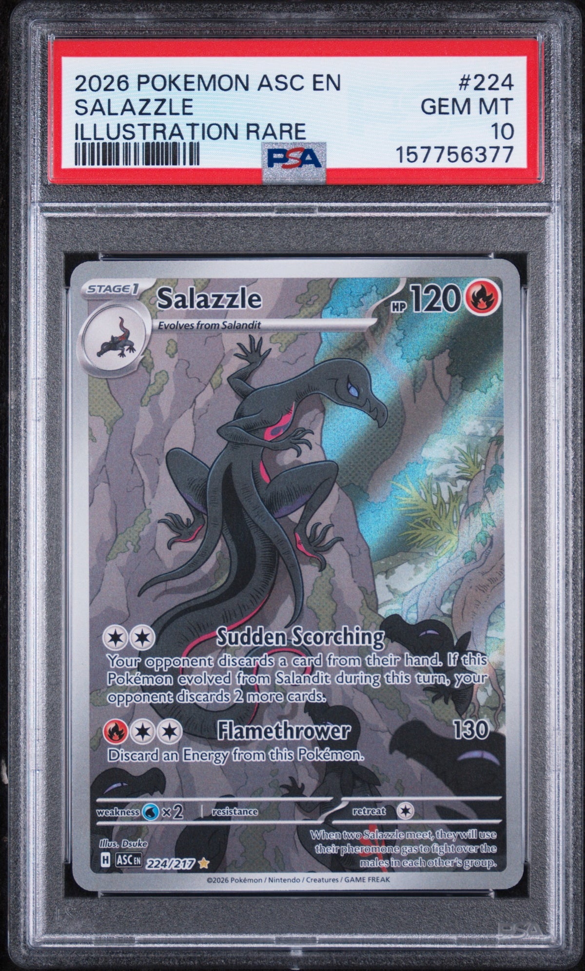 Salazzle Illustration Rare Pokemon Asc En-Ascended Heroes 224/217 PSA 10