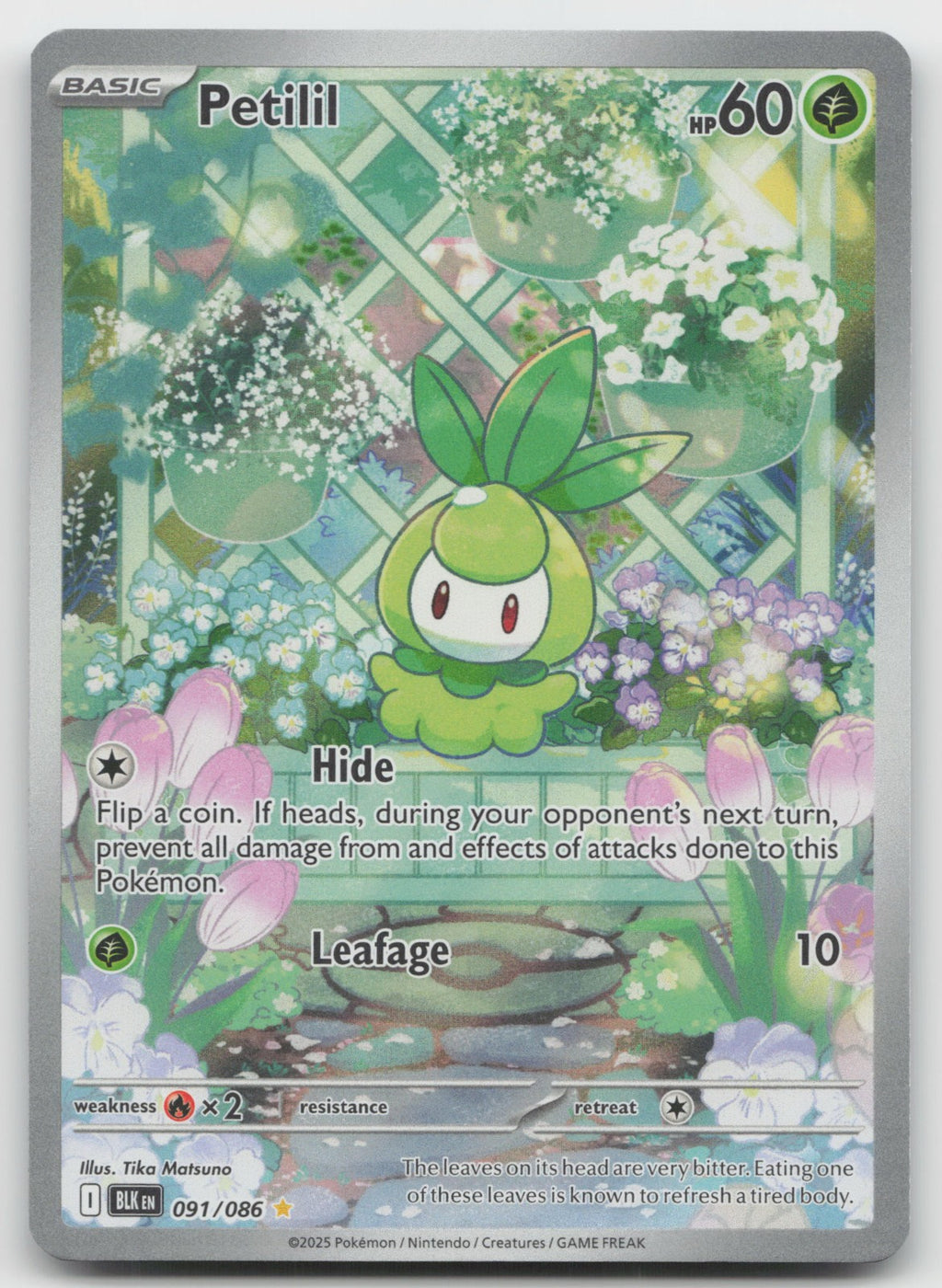 Petilil Holo Illustration Rare SV: Black Bolt 091/086 NM