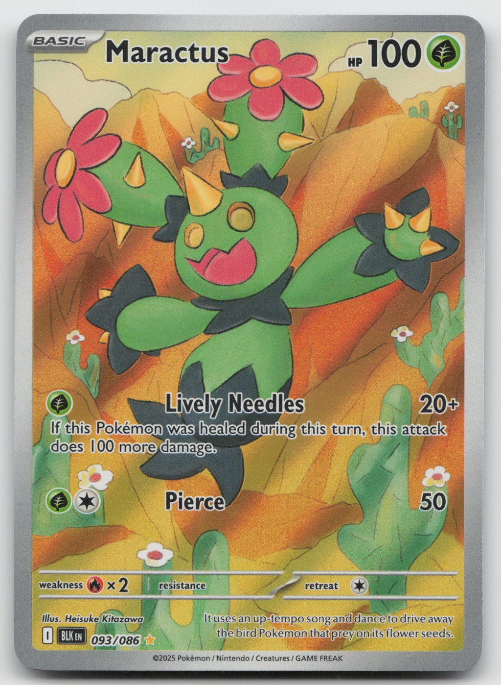 Maractus Illustration Rare Holo SV: Black Bolt 093/086 NM