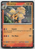 Arcanine Holo SV: Scarlet & Violet Promo Cards SVP011 NM