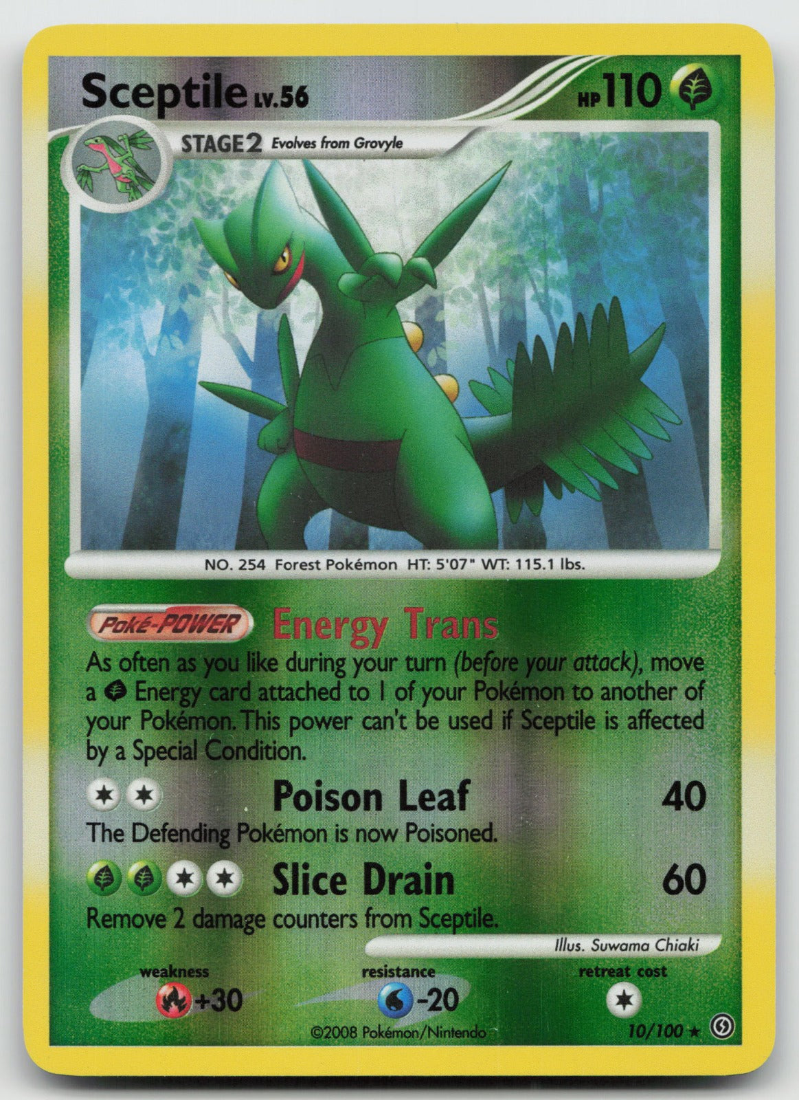 Sceptile Rare Reverse Holo Stormfront 10/100 NM/VLP