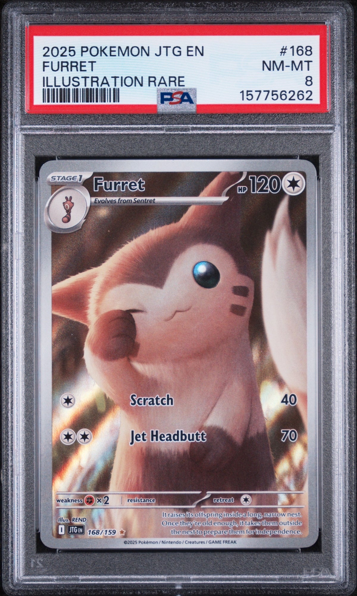 Furret Illustration Rare Pokemon Jtg En-Journey Together 168/159 PSA 8