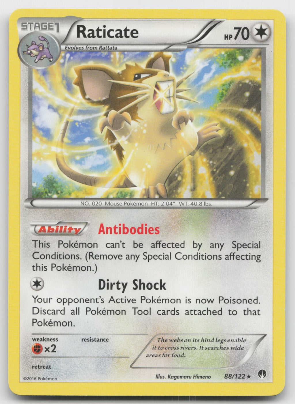 Raticate Rare XY - BREAKpoint 88/122 LP