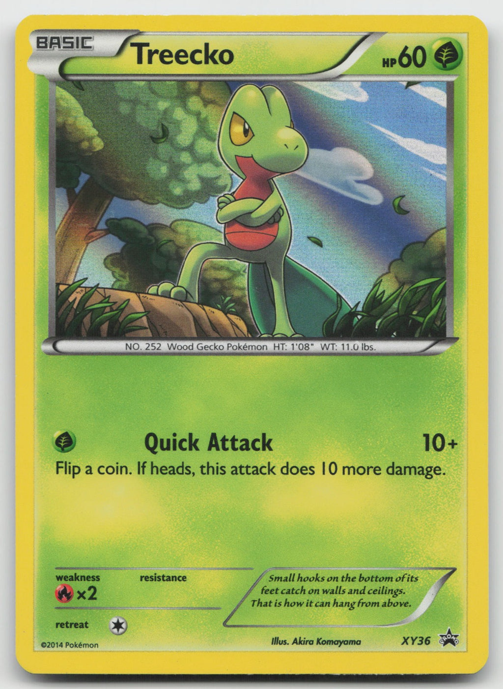 Treecko - Promo Holo XY Promos XY36 MP