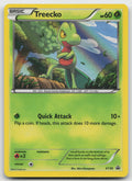 Treecko - Promo Holo XY Promos XY36 MP