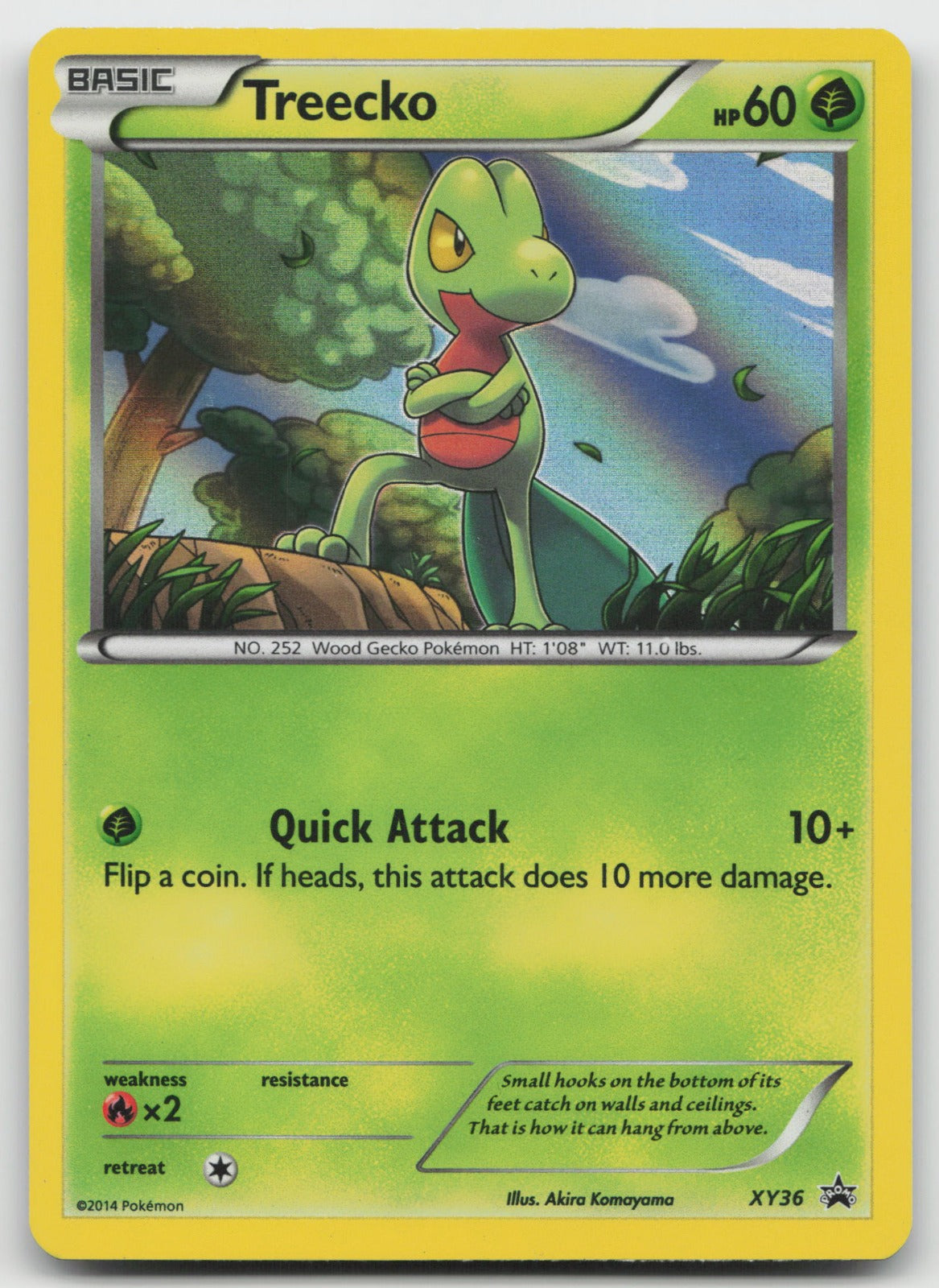 Treecko - Promo Holo XY Promos XY36 MP