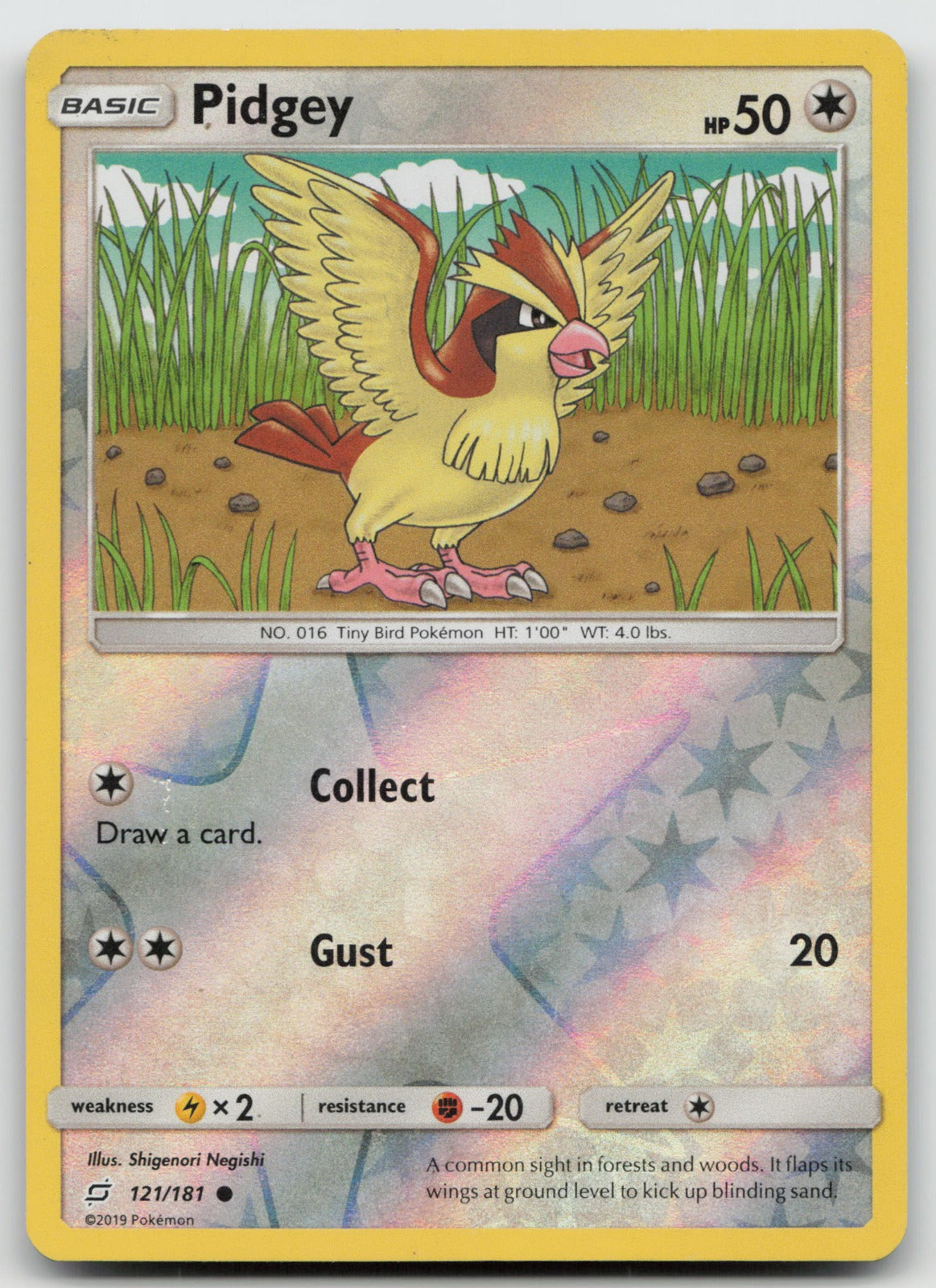 Pidgey Reverse Holo Common SM - Team Up 121/181 NM
