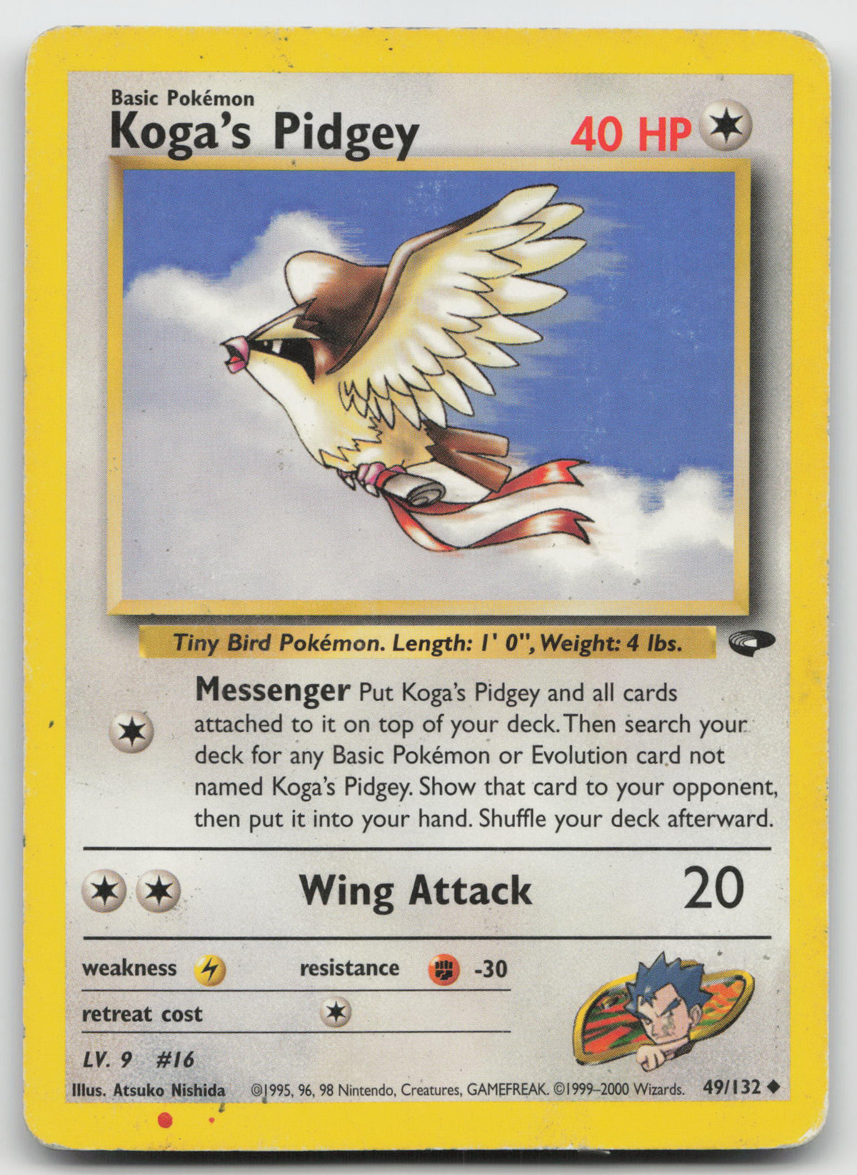 Koga's Pidgey Uncommon Unlimited Gym Challenge 49/132 DMG
