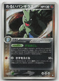 Dark Tyranitar Holo Black Deck Kit 012/020 HP