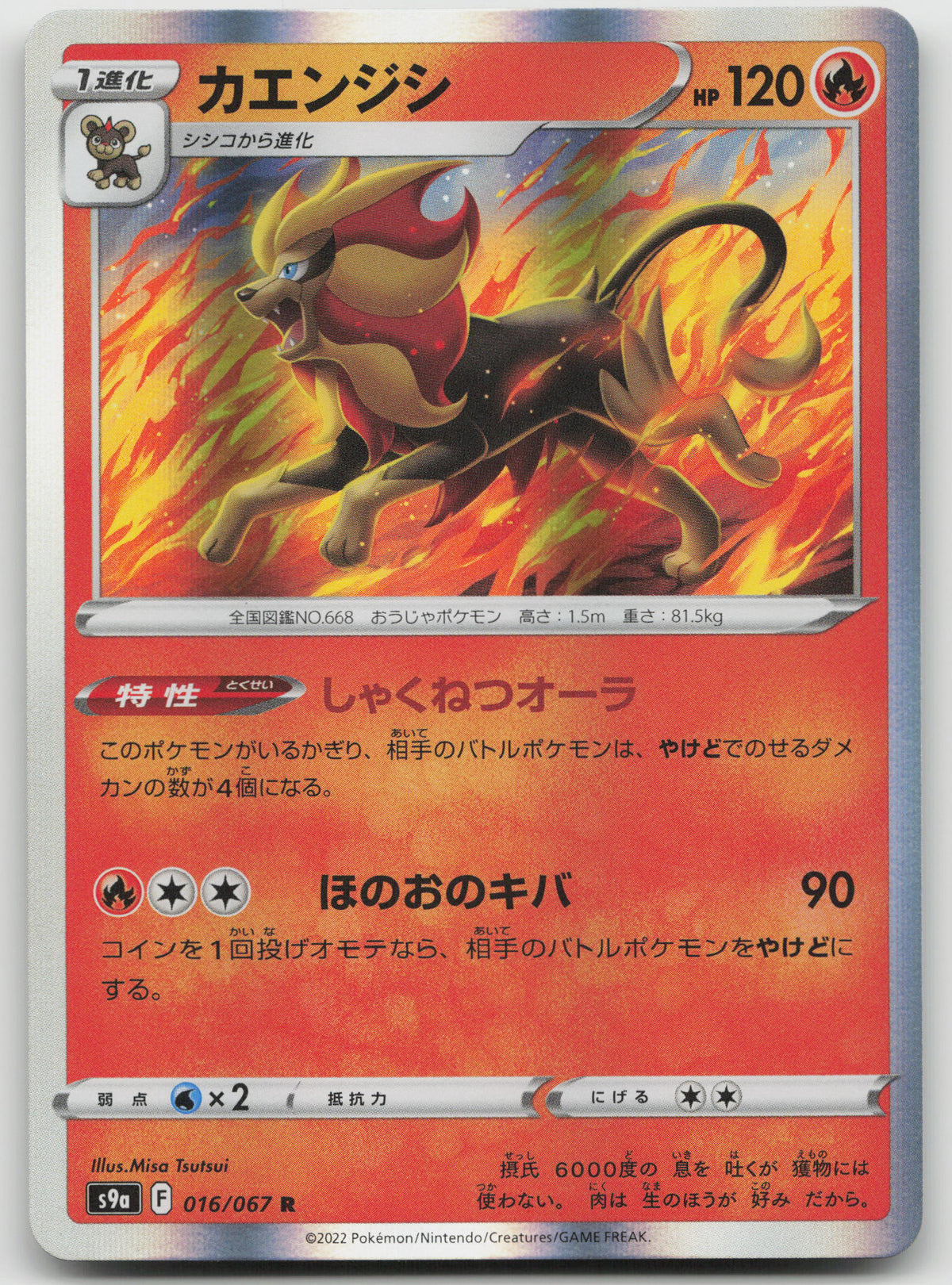 Pyroar Rare Holofoil S9a: Battle Region 016/067 NM