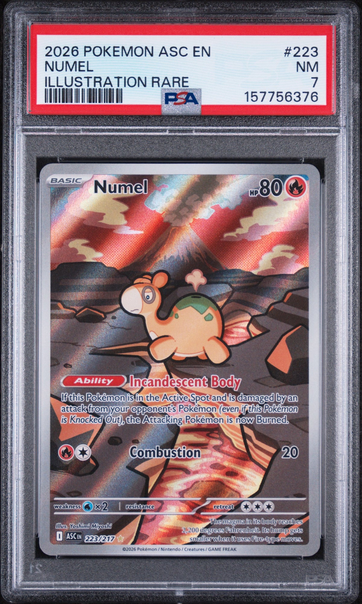 Numel Illustration Rare Pokemon Asc En-Ascended Heroes 223/217 PSA 7
