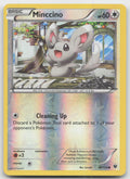 Minccino Common Reverse Holo XY - Fates Collide 86/124 LP