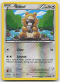 Bidoof Common Reverse Holo XY - Primal Clash 116/160 LP