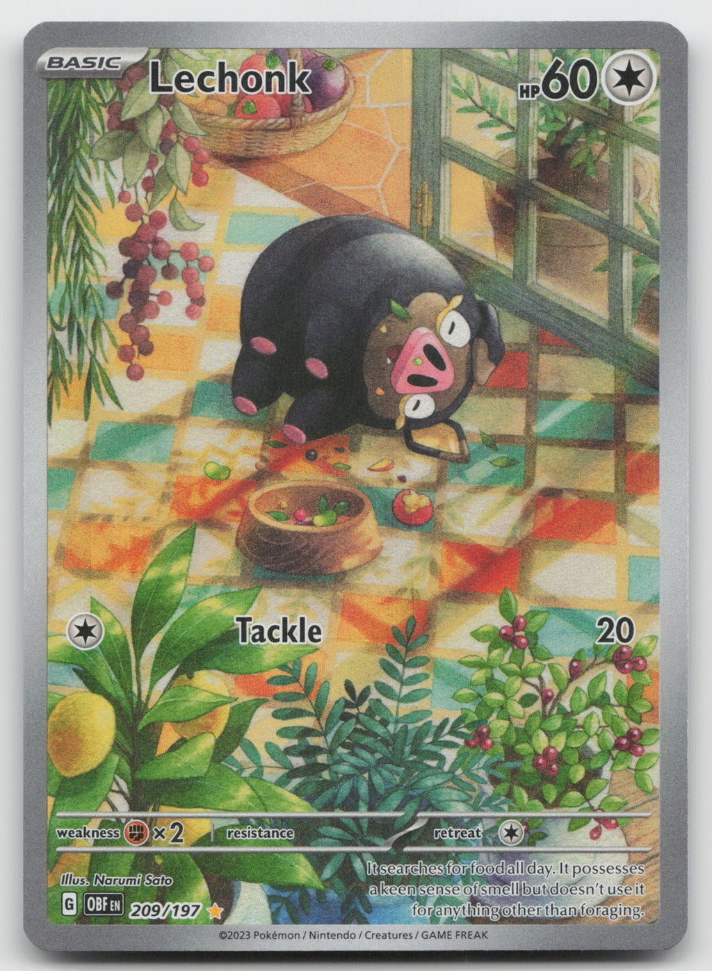 Lechonk Holo Illustration Rare SV03: Obsidian Flames 209/197 NM