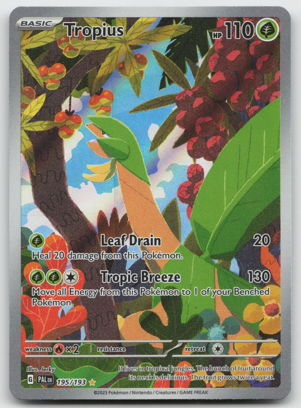 Tropius Holo Illustration Rare SV02: Paldea Evolved 195/193 NM