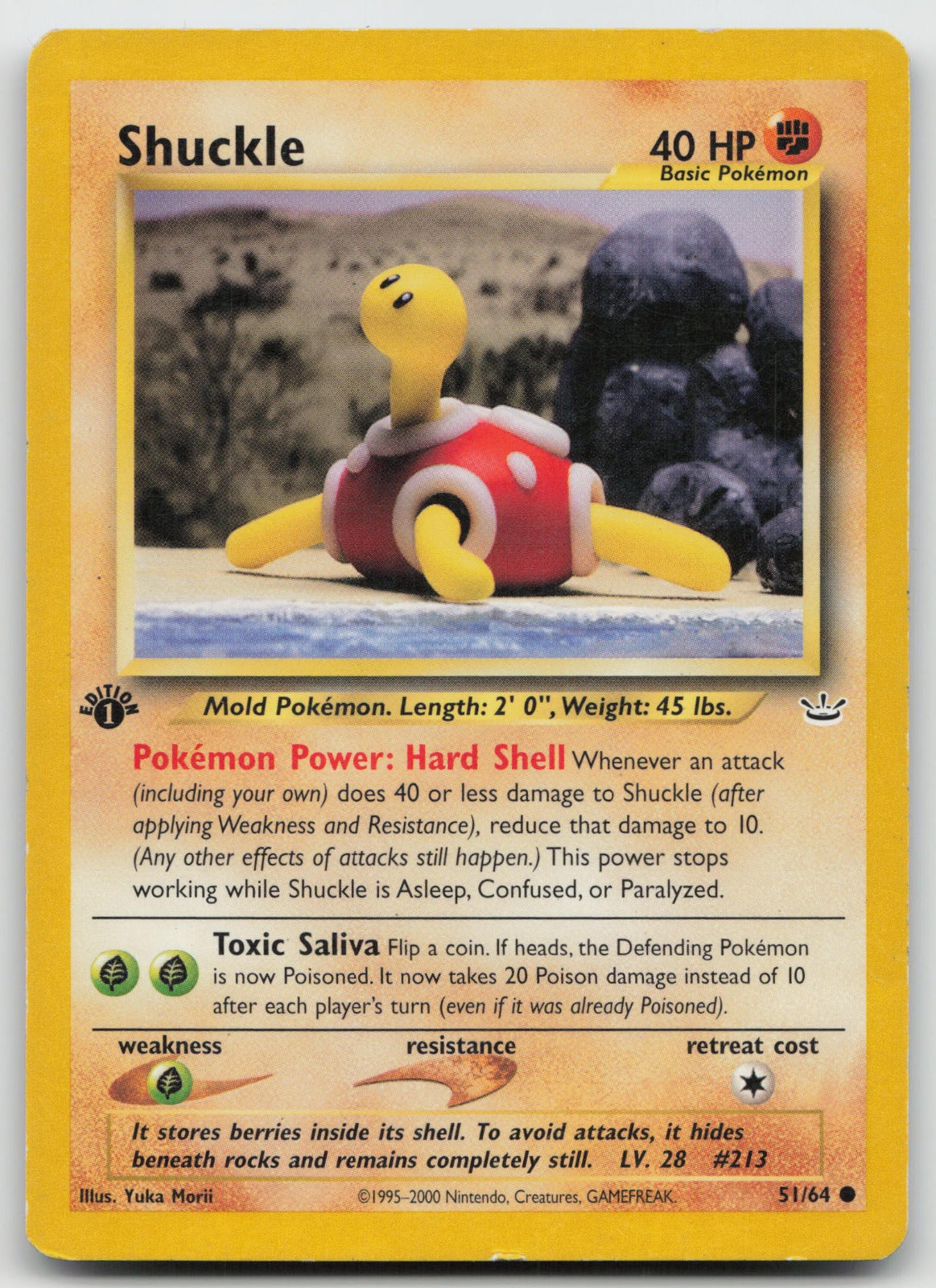 Shuckle Common 1st Edition Neo Revelation 51/64 HP