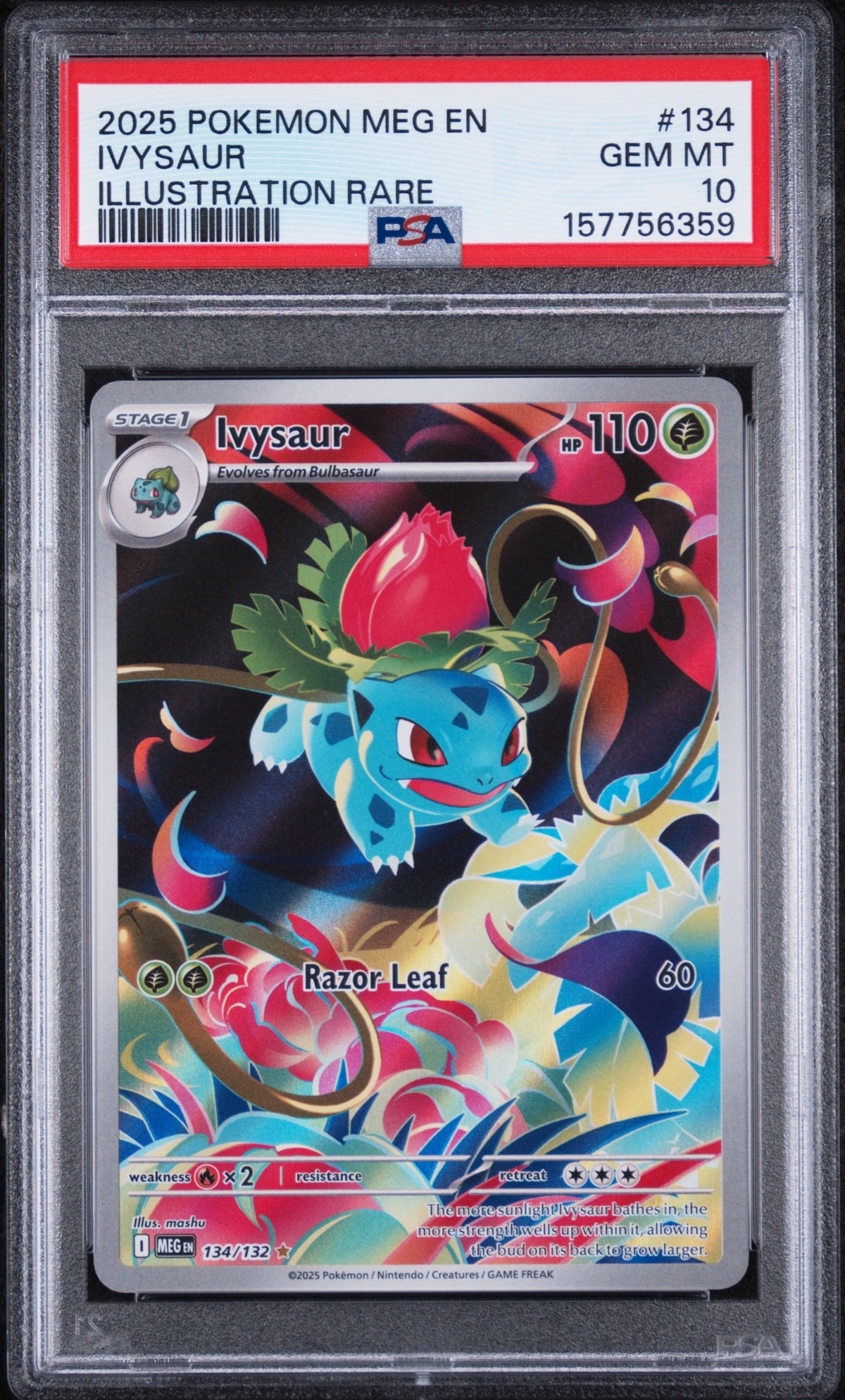Ivysaur Illustration Rare Pokemon Meg En-Mega Evolution 134/132 PSA 10