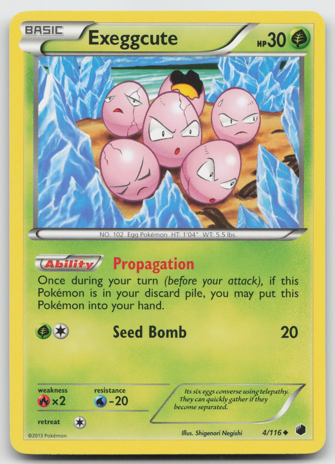 Exeggcute Uncommon Plasma Freeze 4/116 LP