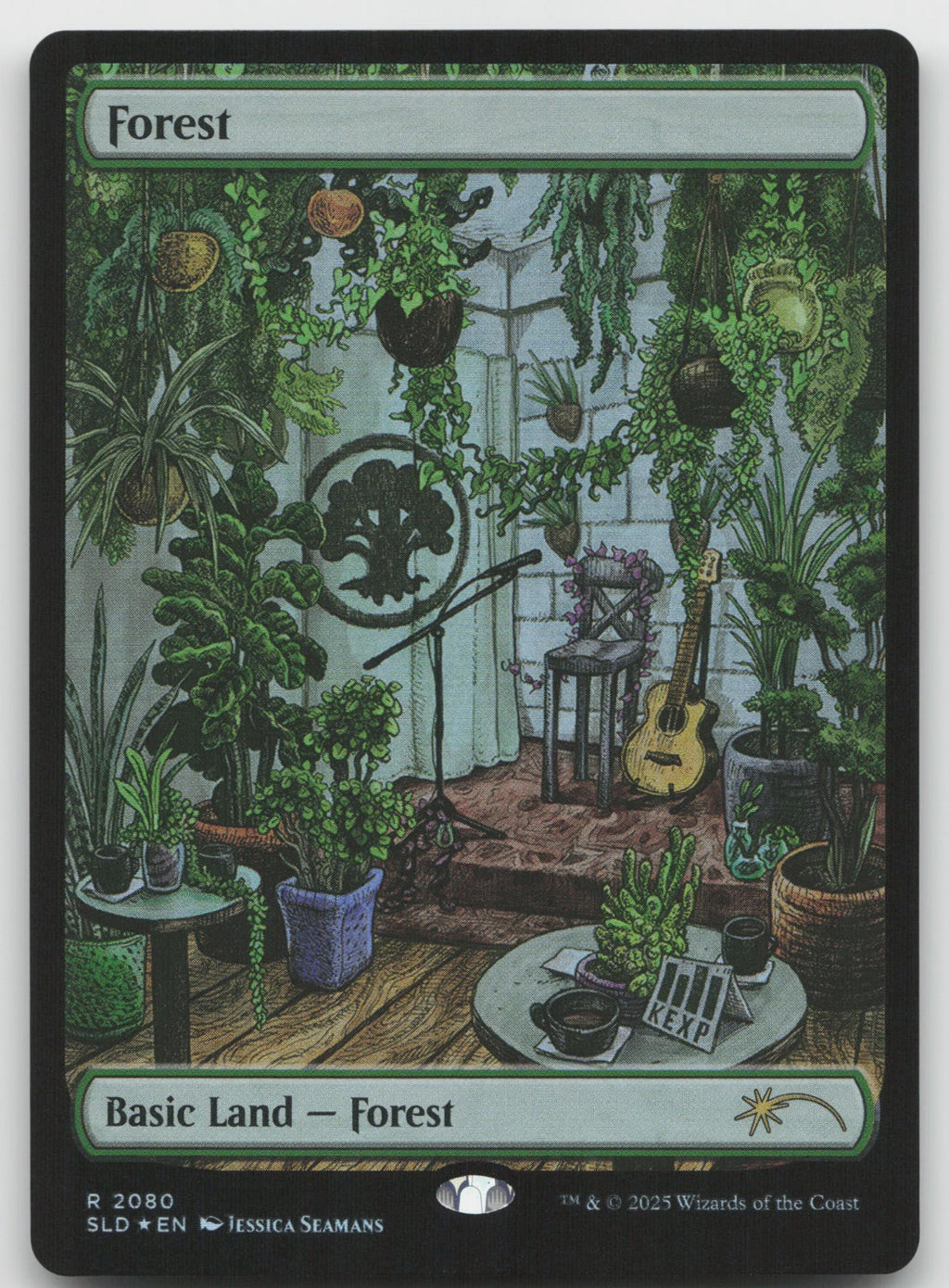 Forest (Rainbow Foil) R Foil Secret Lair Drop Series 2080 NM