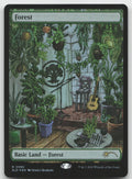 Forest (Rainbow Foil) R Foil Secret Lair Drop Series 2080 NM