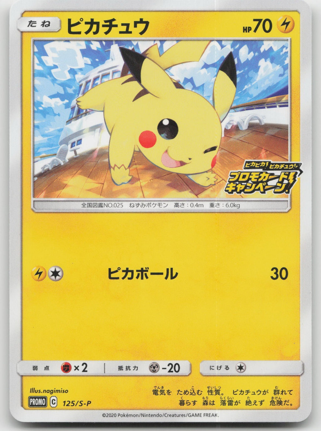 Pikachu Common S-P: Sword & Shield Promos 125/S-P NM