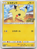 Pikachu Common S-P: Sword & Shield Promos 125/S-P NM