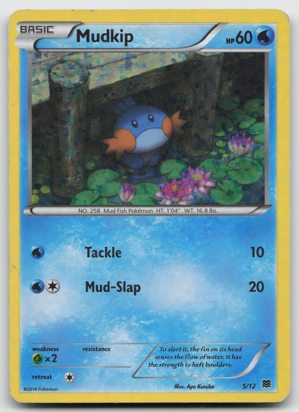 Mudkip - Holo McDonald's Promos 2015 5/12 HP