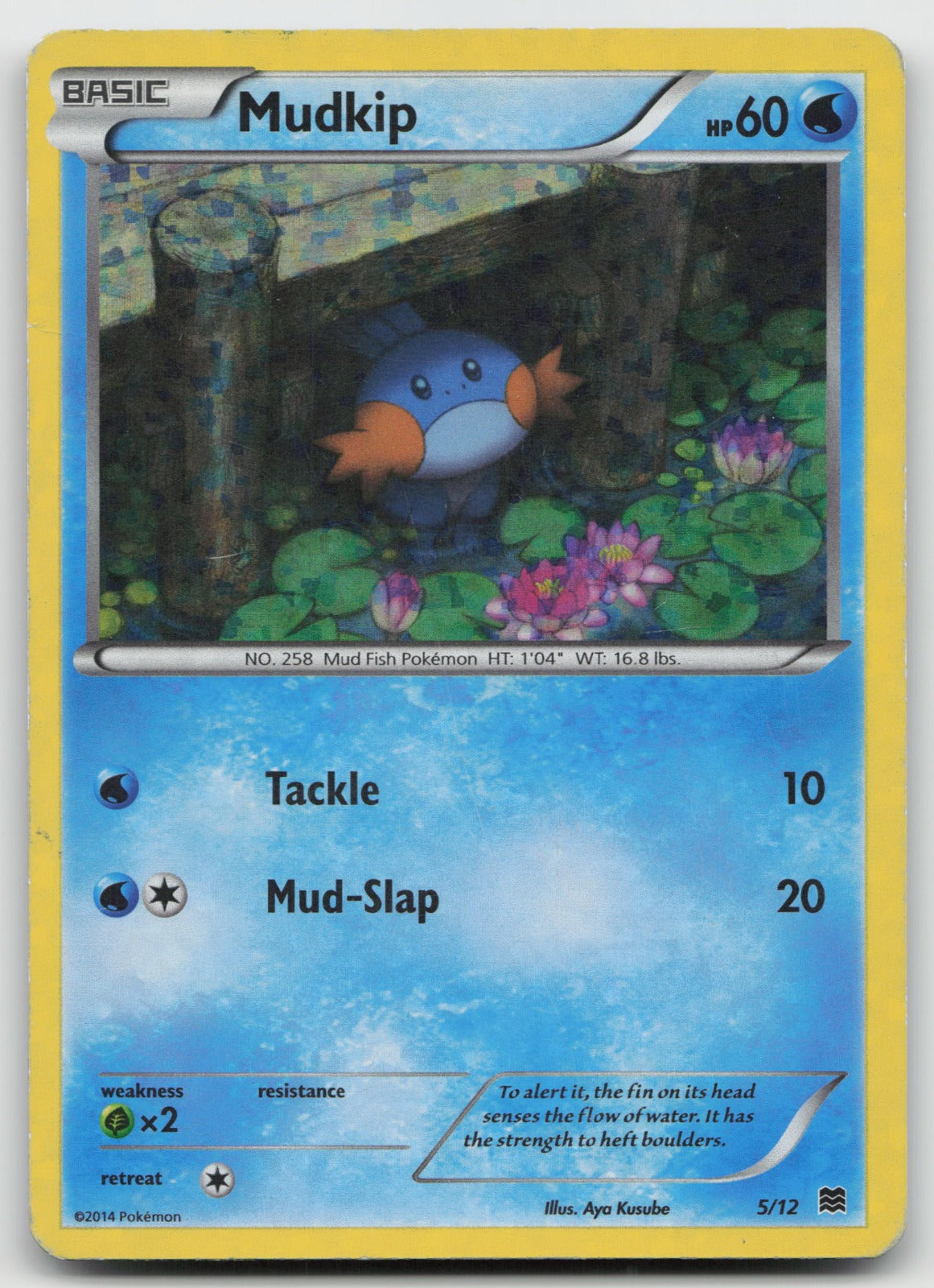 Mudkip - Holo McDonald's Promos 2015 5/12 HP