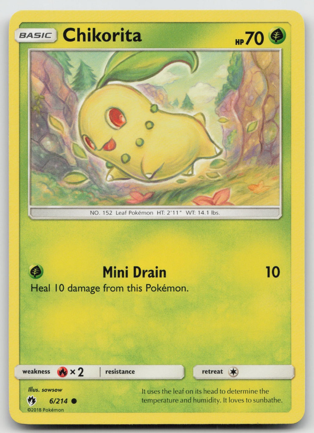 Chikorita Common SM - Lost Thunder 6/214 NM
