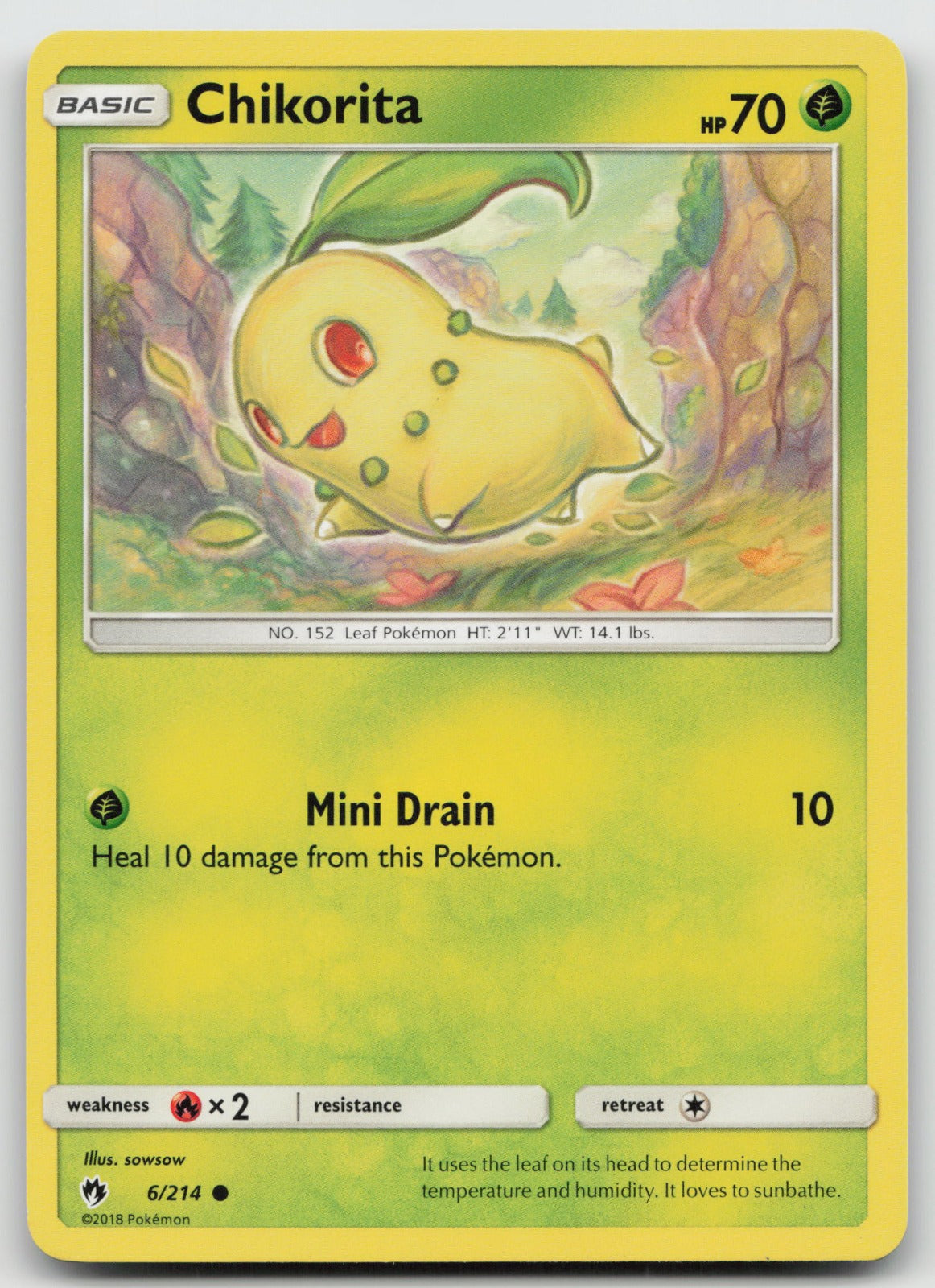 Chikorita Common SM - Lost Thunder 6/214 NM