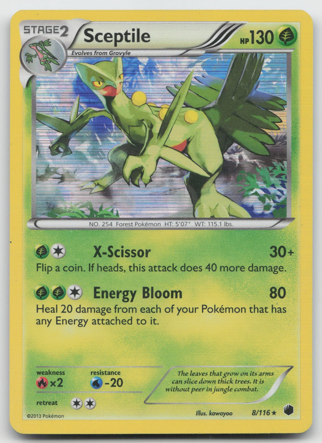 Sceptile Holo Rare Plasma Freeze 8/116 MP