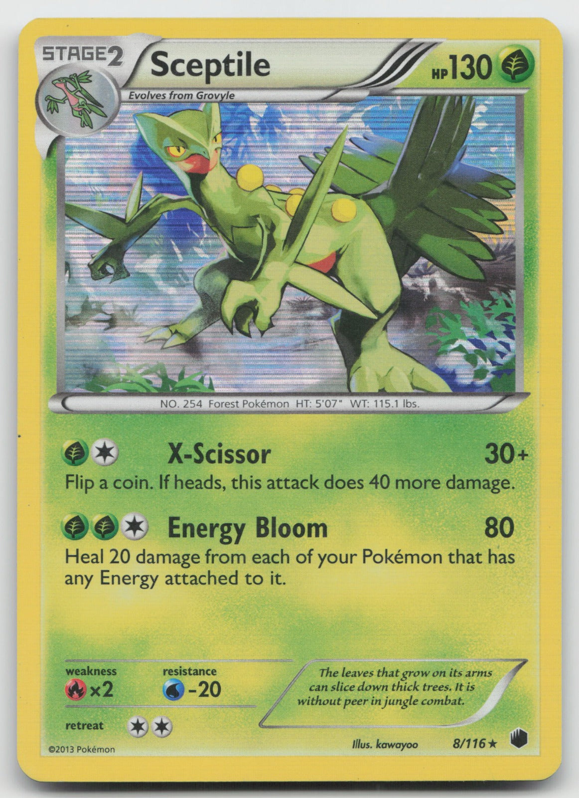 Sceptile Holo Rare Plasma Freeze 8/116 MP