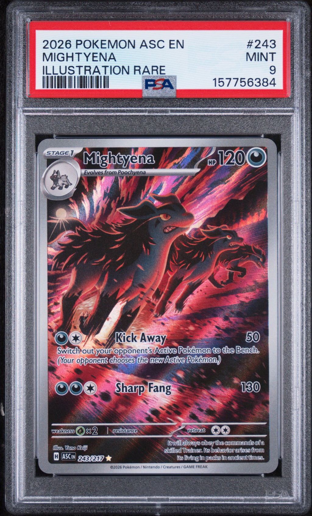 Mightyena Illustration Rare Pokemon Asc En-Ascended Heroes 243/217 PSA 9