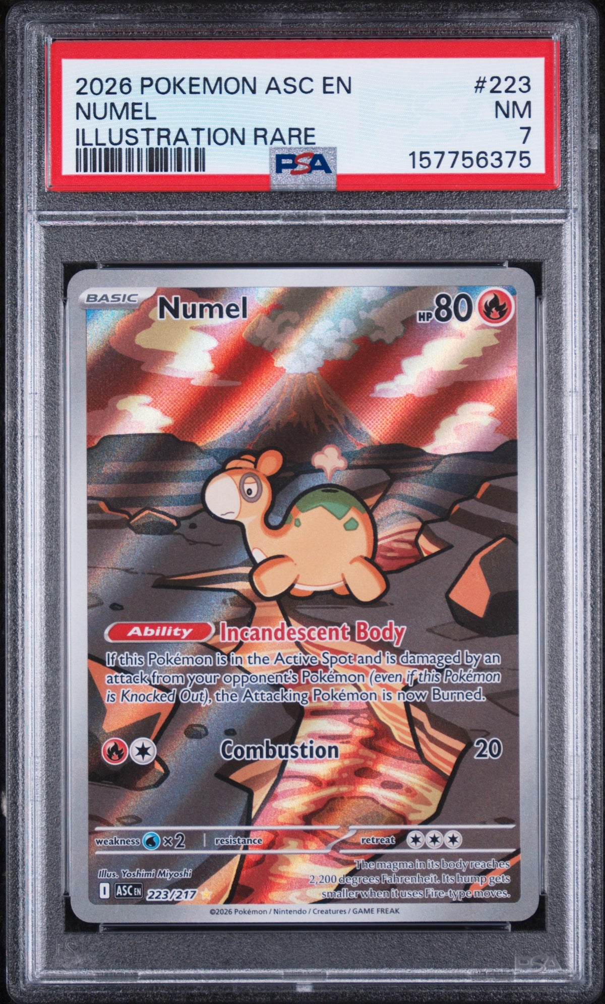 Numel Illustration Rare Pokemon Asc En-Ascended Heroes 223/217 PSA 7