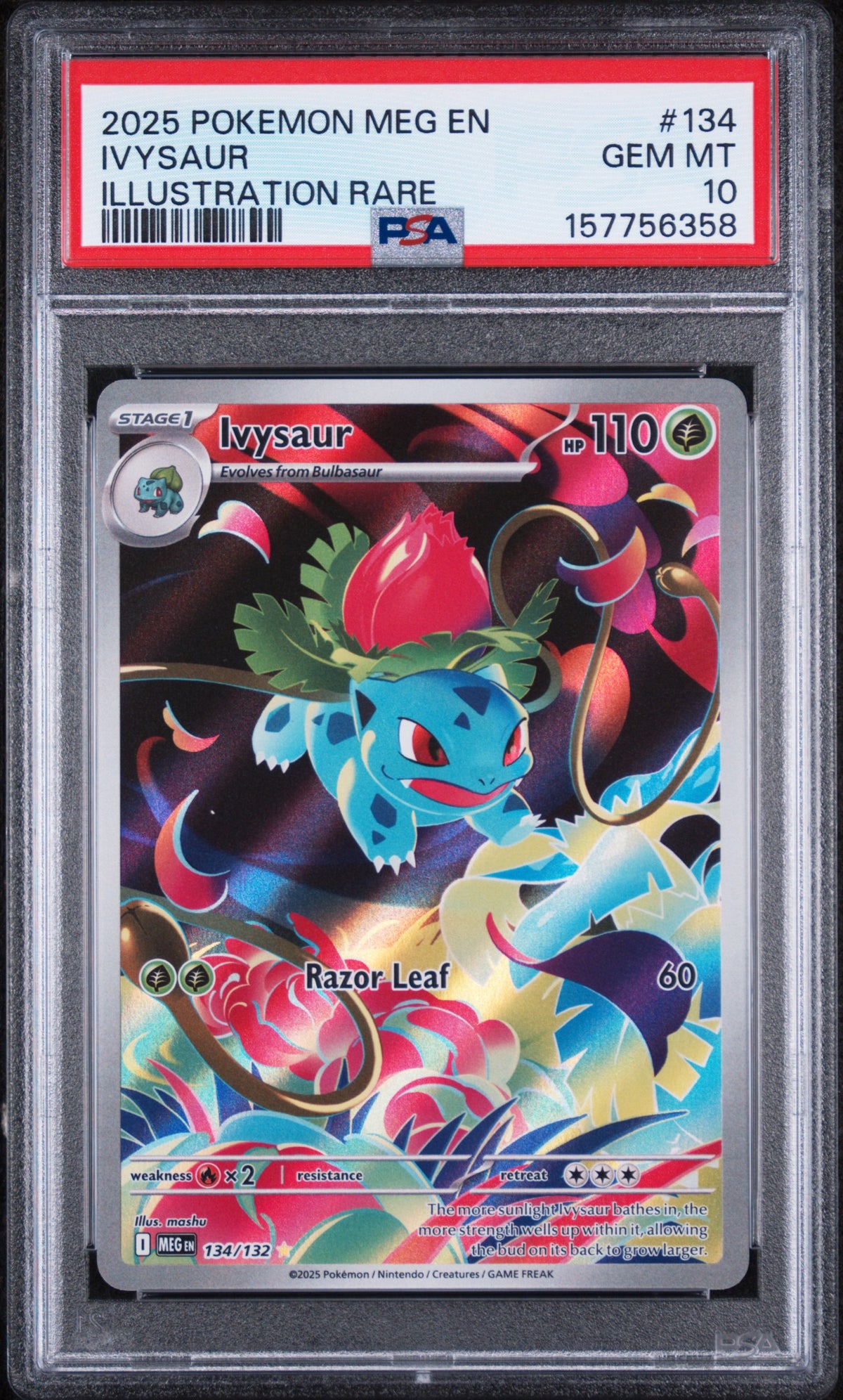 Ivysaur Illustration Rare Pokemon Meg En-Mega Evolution 134/132 PSA 10