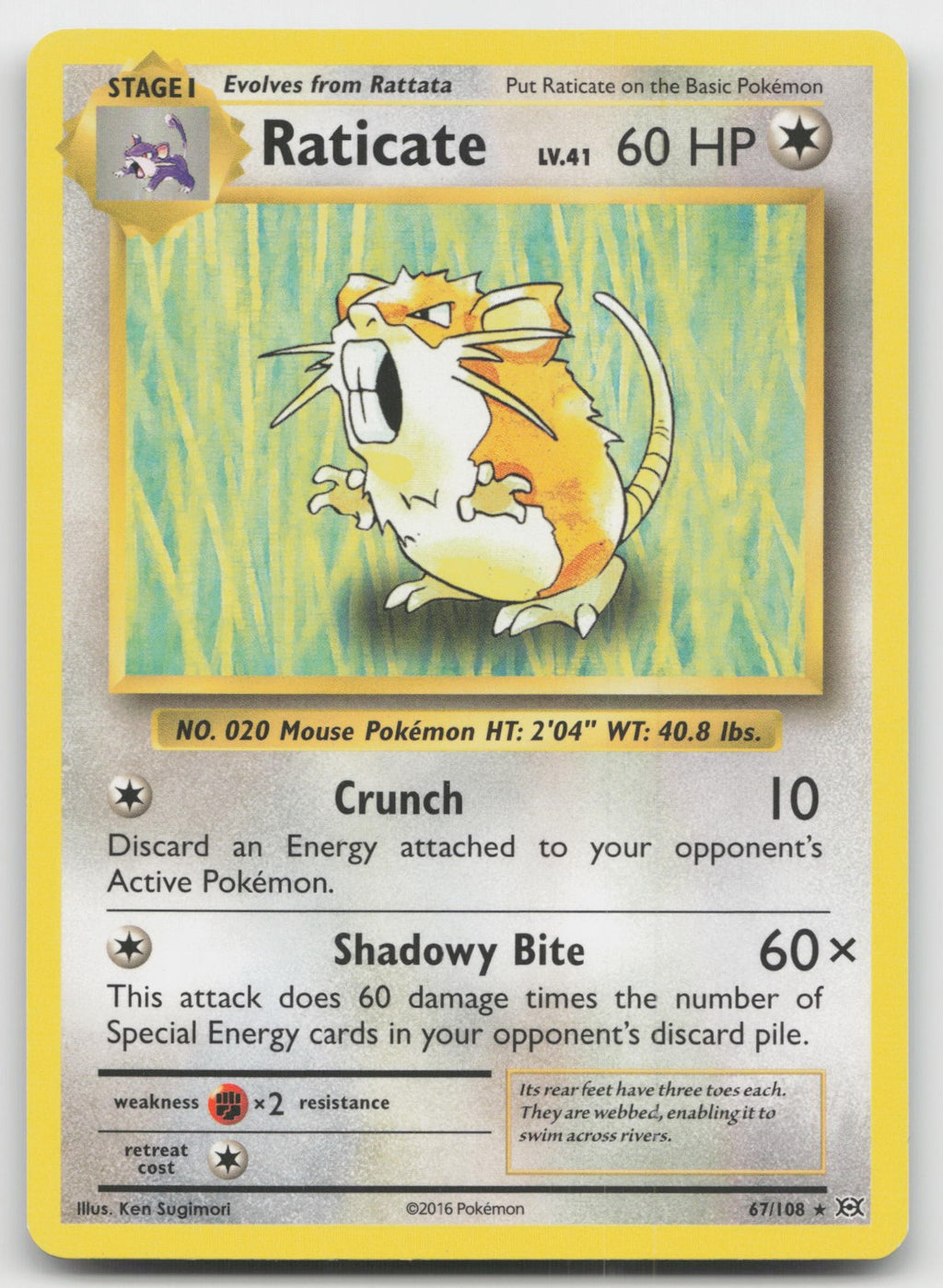 Raticate Rare XY - Evolutions 67/108 NM/VLP