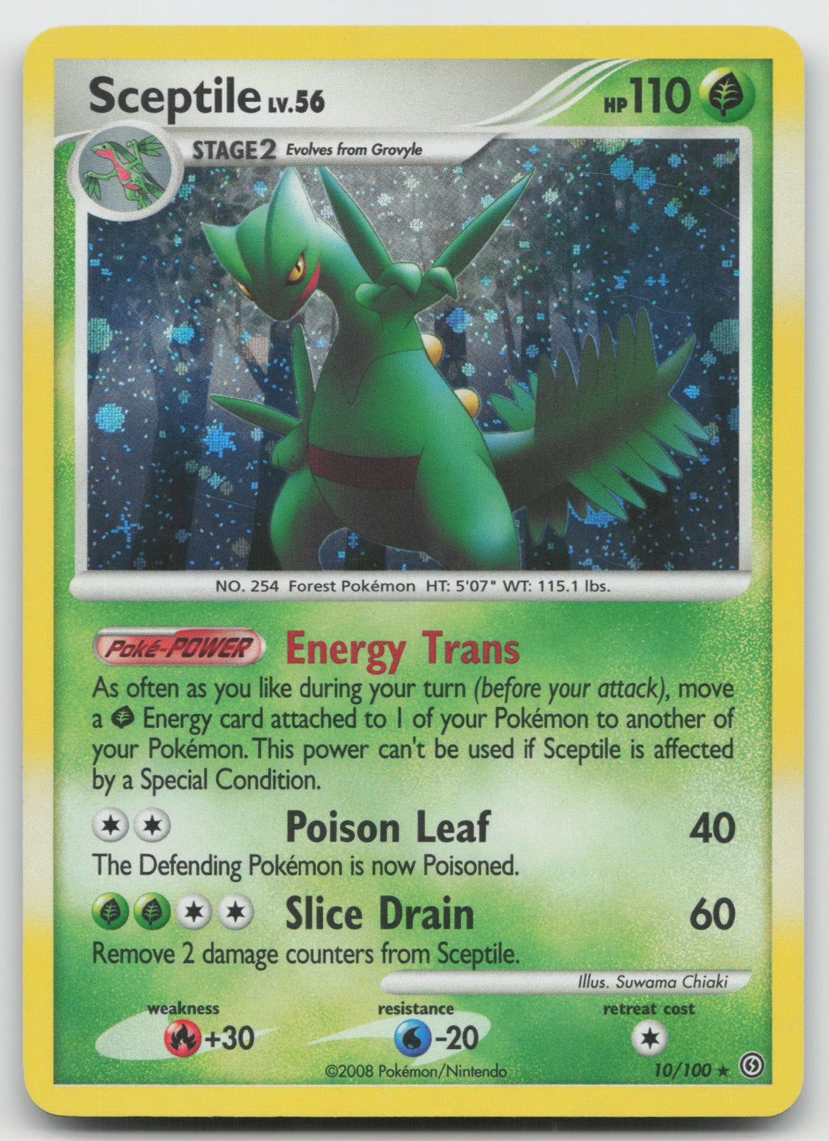 Sceptile Holo Rare Stormfront 10/100 HP