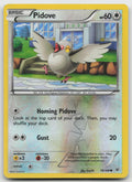 Pidove Common Reverse Holo XY - Roaring Skies 78/108 LP