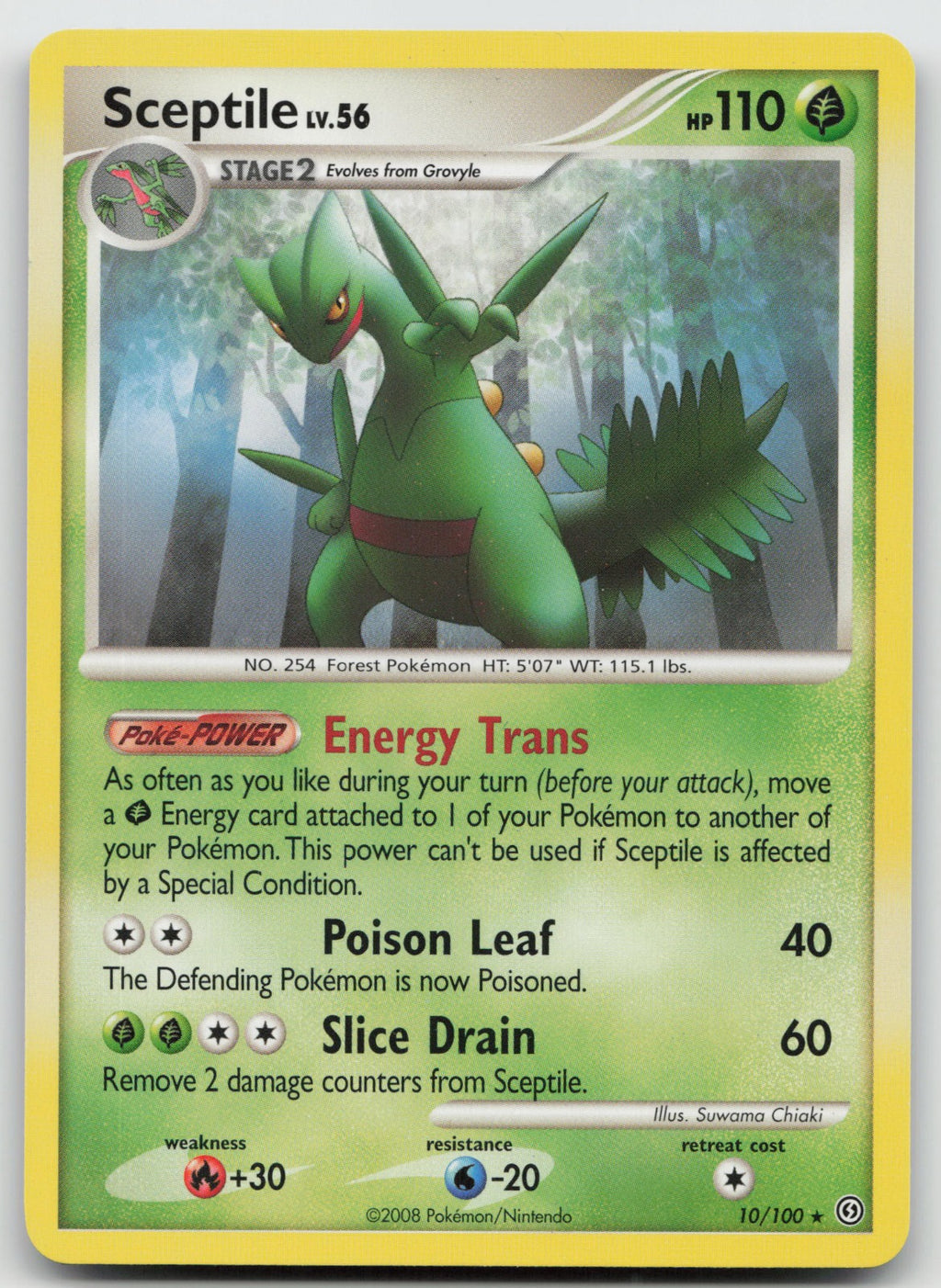 Sceptile - (DP Stormfront) Non Holo Rare Deck Exclusives 10/100 MP