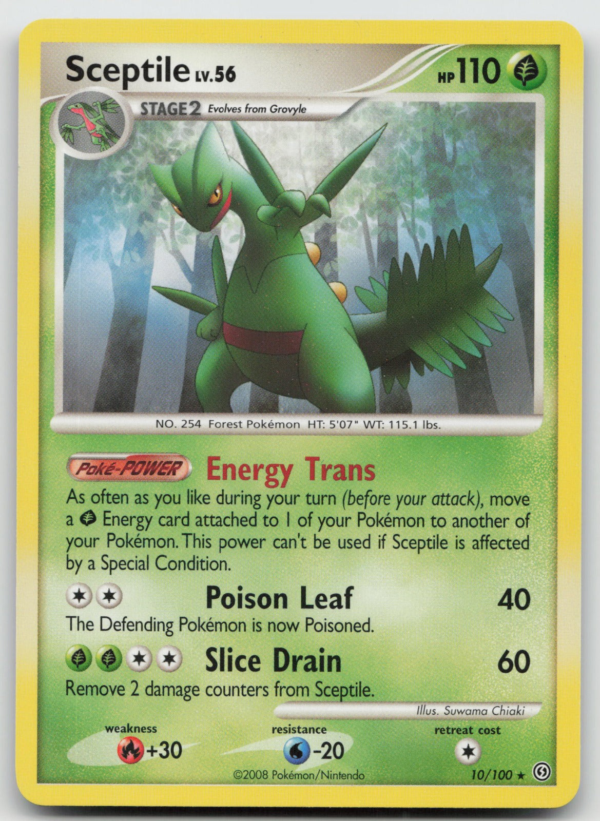 Sceptile - (DP Stormfront) Non Holo Rare Deck Exclusives 10/100 MP