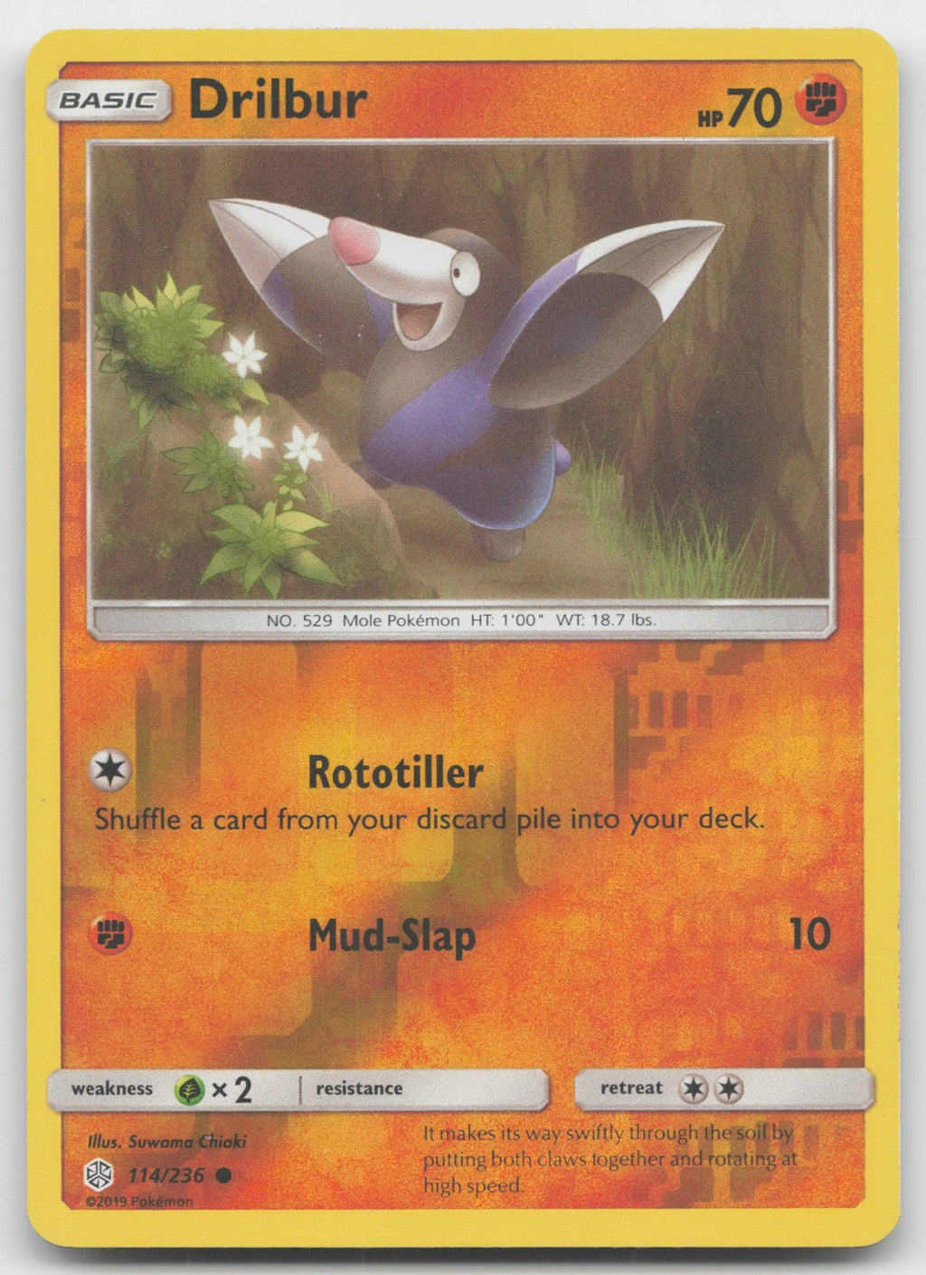 Drilbur Reverse Holo Common SM - Cosmic Eclipse 114/236 NM