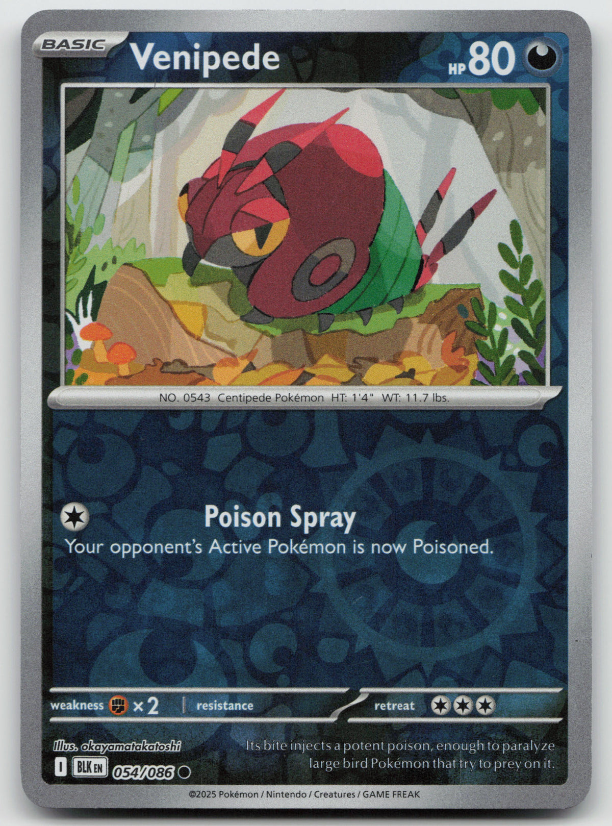 Venipede Common Reverse Holo SV: Black Bolt 054/086 NM