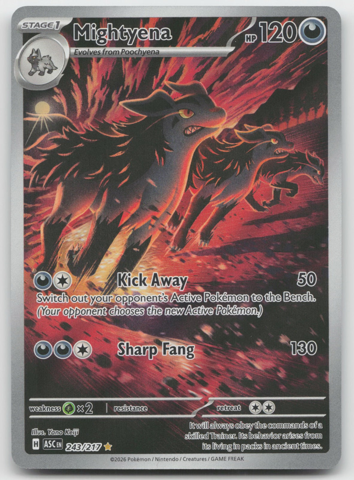 Mightyena Holo Illustration Rare ME: Ascended Heroes 243/217 NM