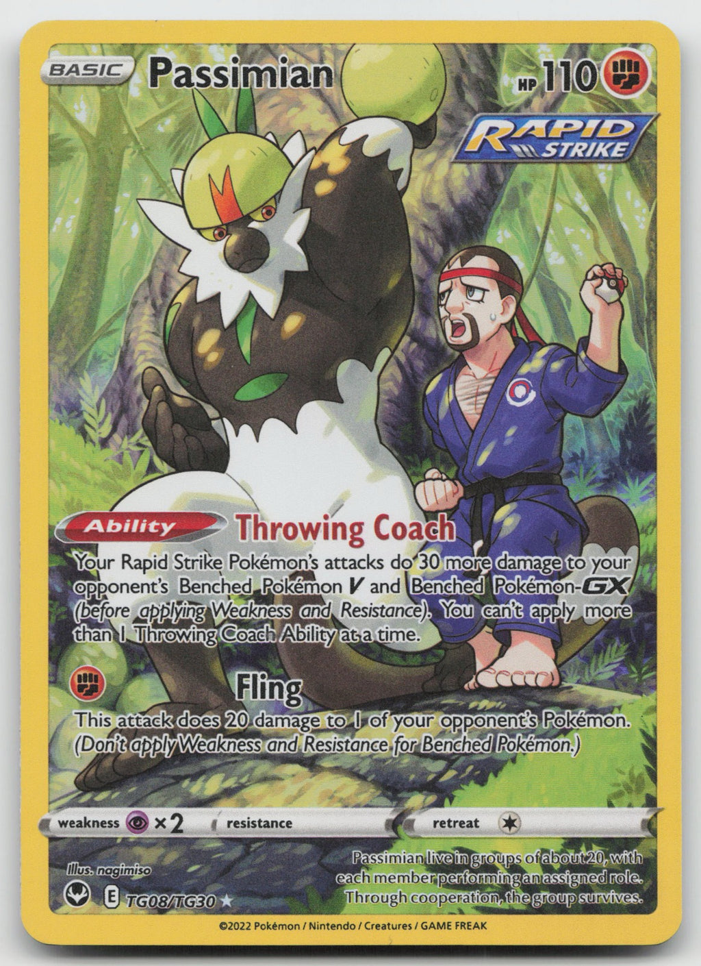 Passimian Holo Ultra Rare SWSH12: Silver Tempest Trainer Gallery TG08/TG30 NM