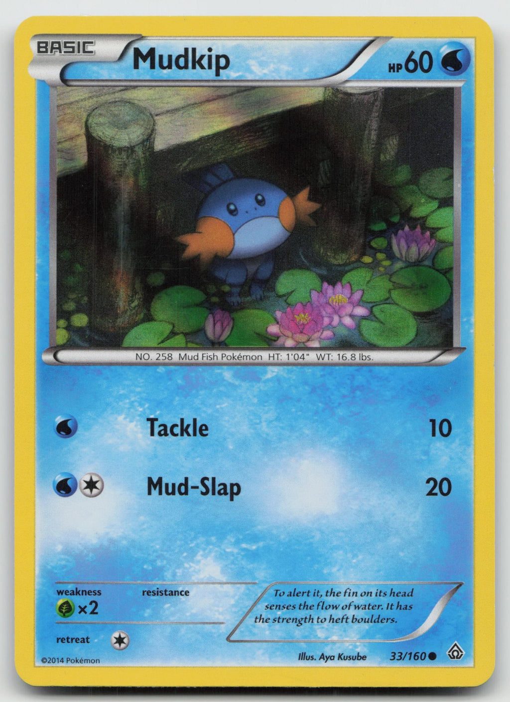 Mudkip (Sheen Holo) Promo Primal Clash 33/160 NM/VLP