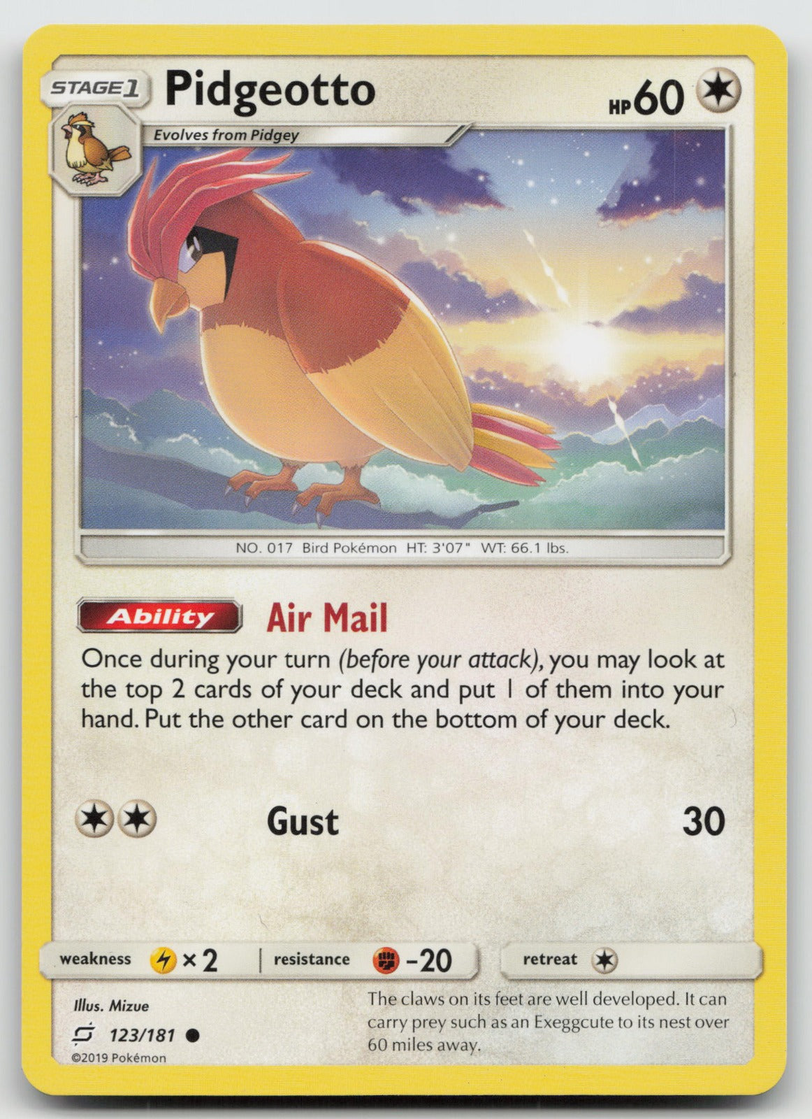Pidgeotto Common SM - Team Up 123/181 VLP