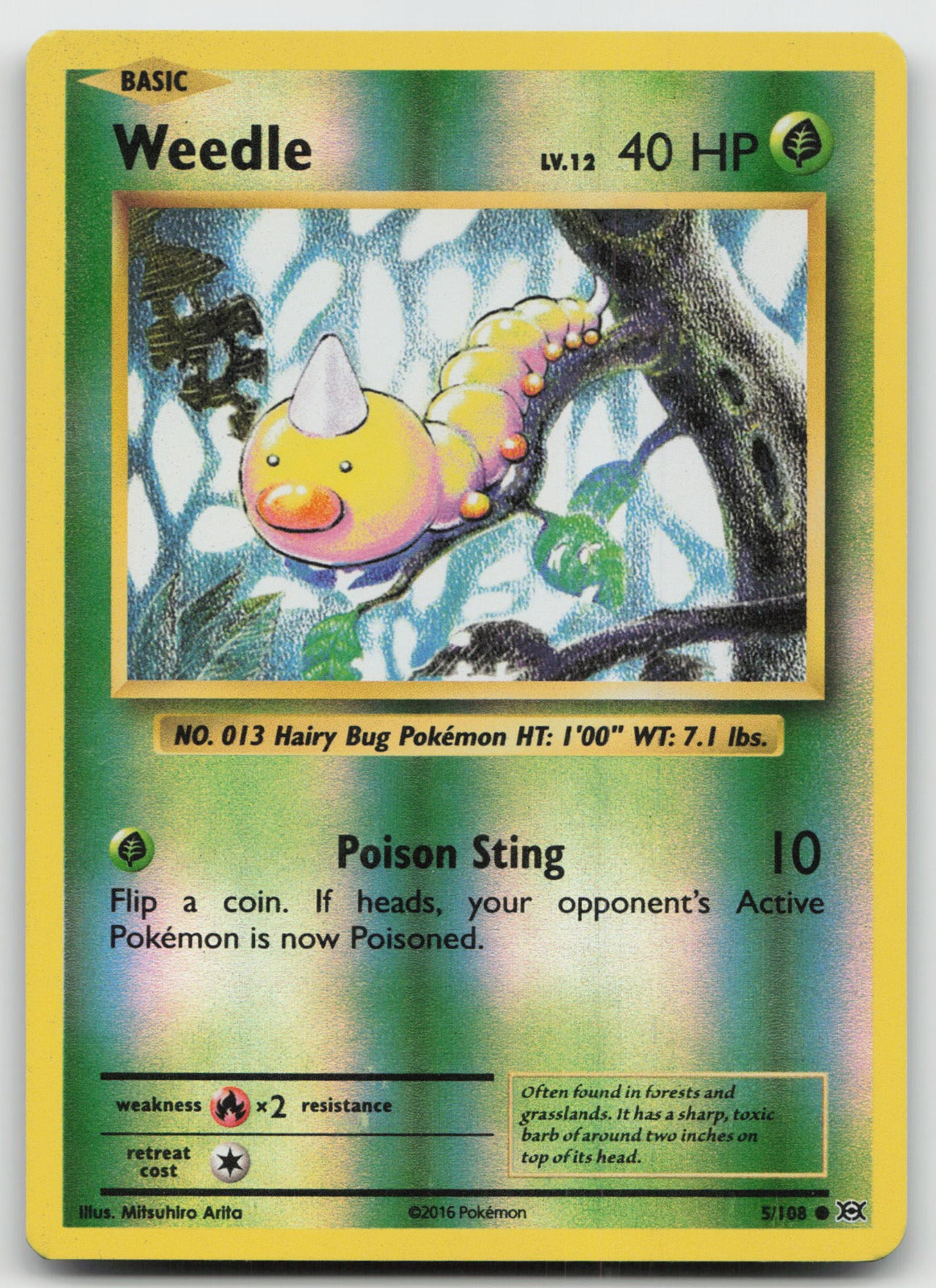 Weedle Reverse Holo Common XY - Evolutions 5/108 VLP