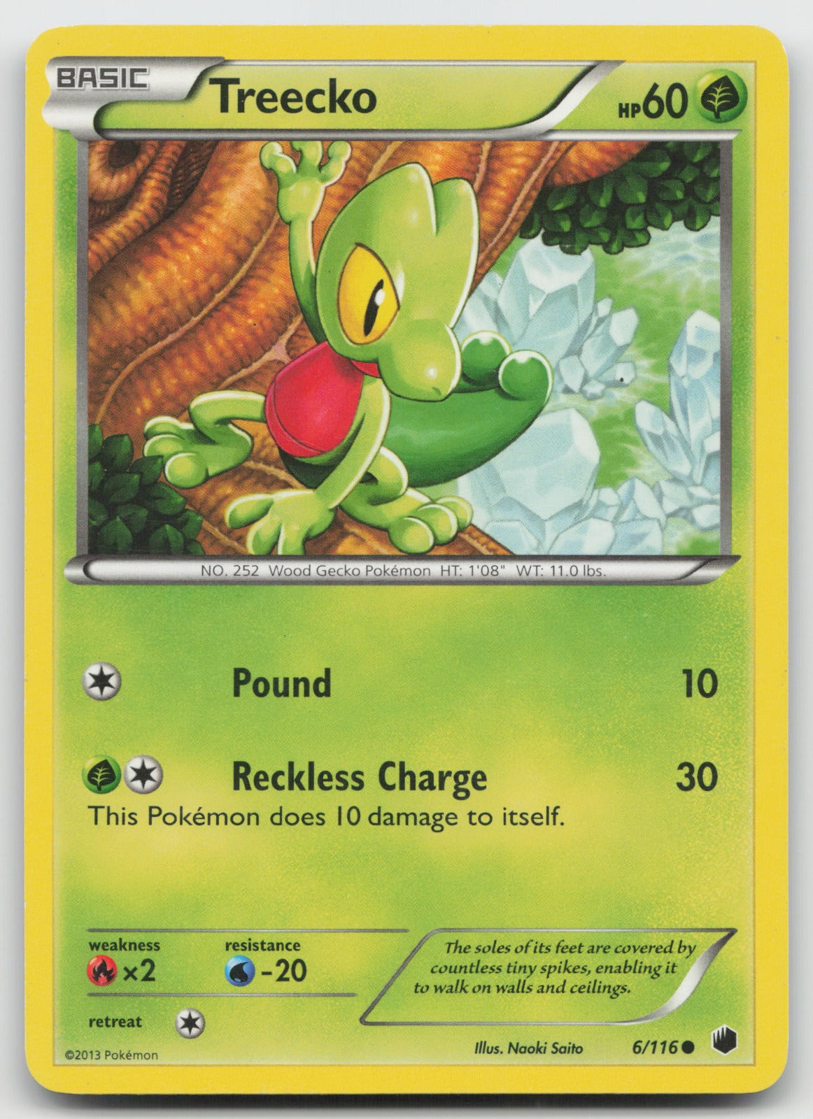 Treecko Common Plasma Freeze 6/116 LP